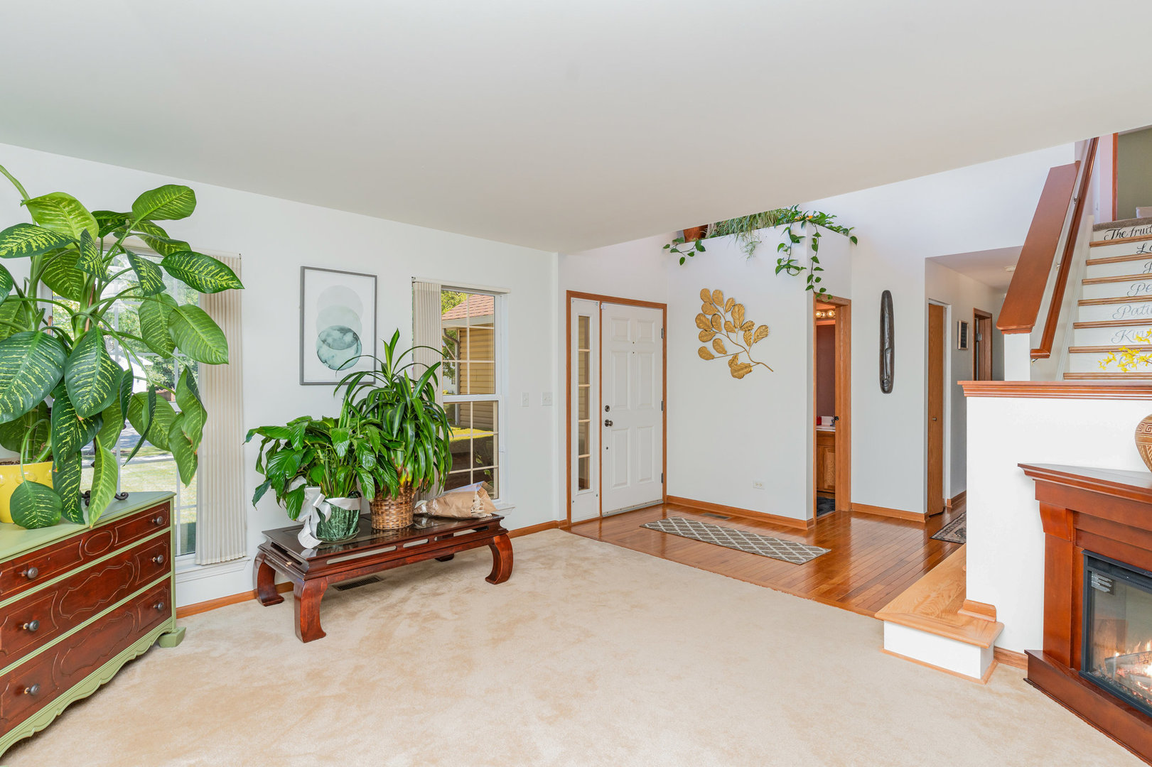 1420 Marigold Lane Minooka, IL 60447 - Photo 3 of 25