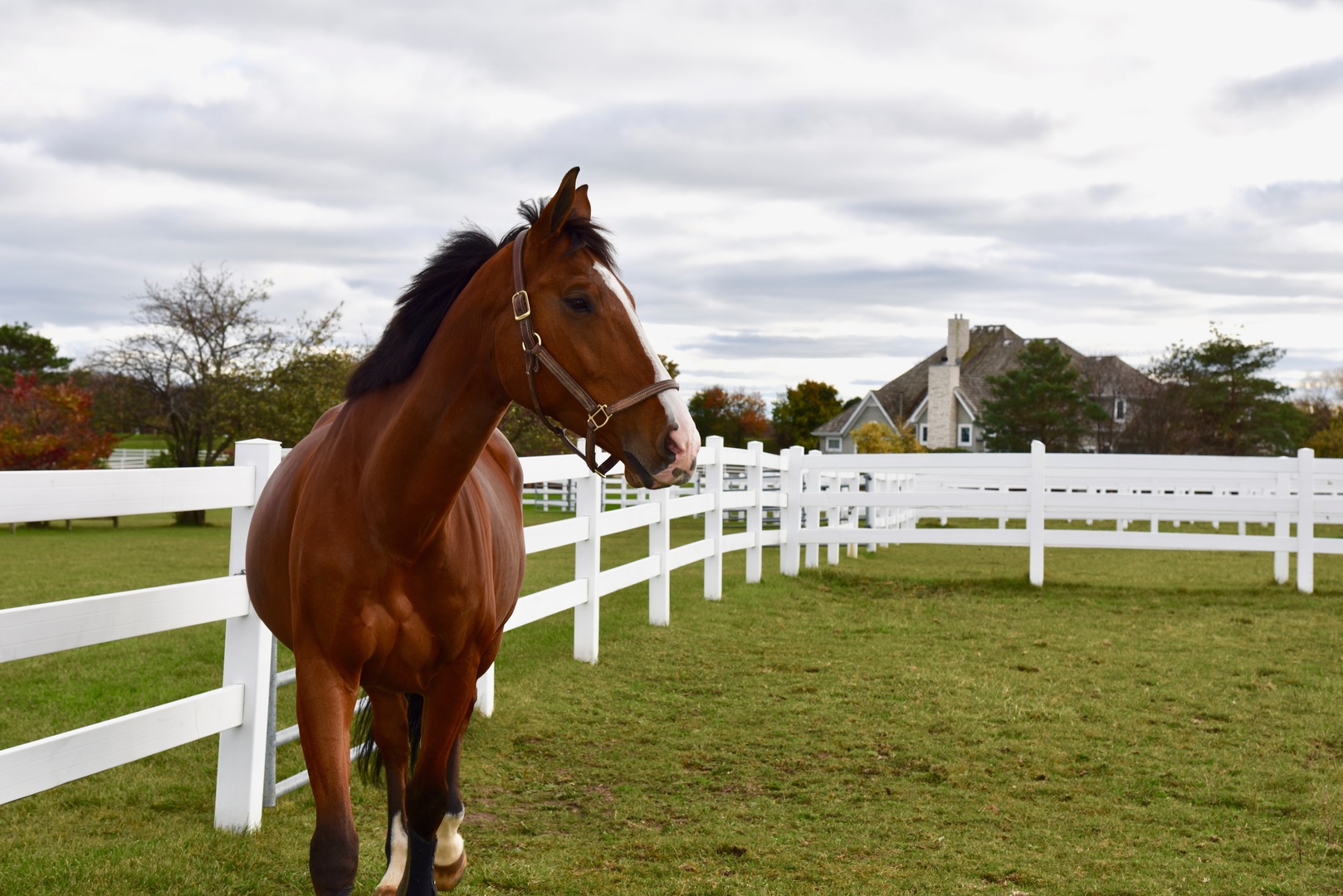 17451 Bridle Trail Road Gurnee, IL 60031 - Photo 7 of 121