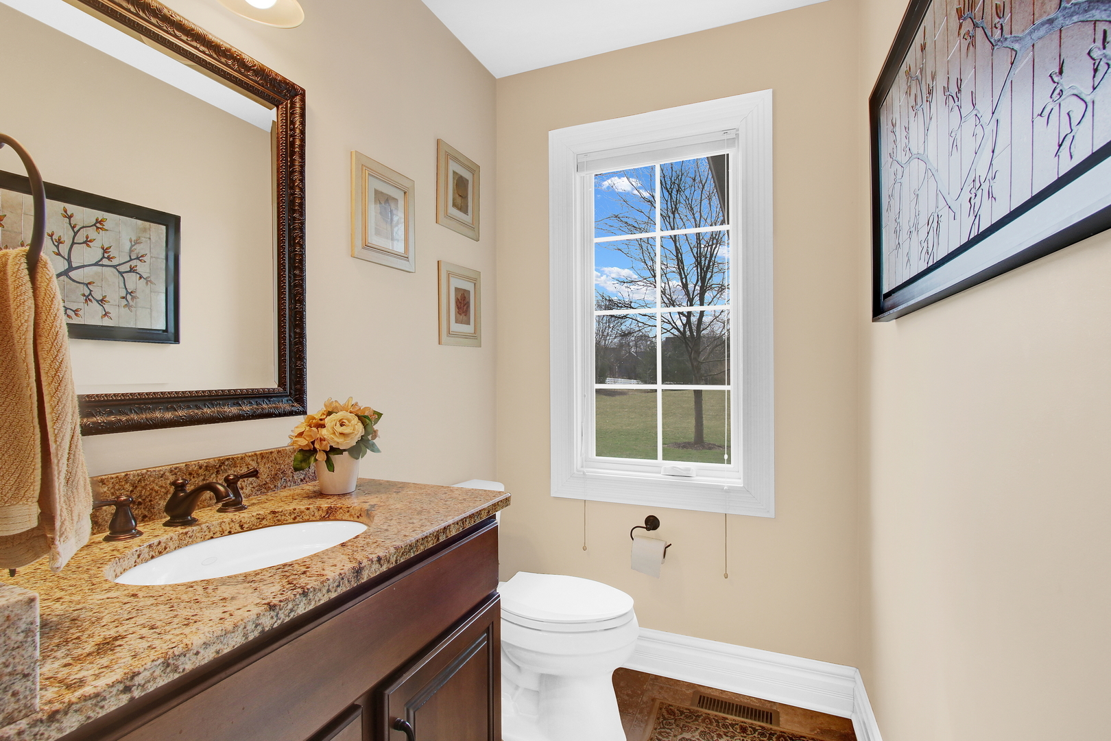 17451 Bridle Trail Road Gurnee, IL 60031 - Photo 88 of 121 a bathroom with a granite countertop sink and a mirror