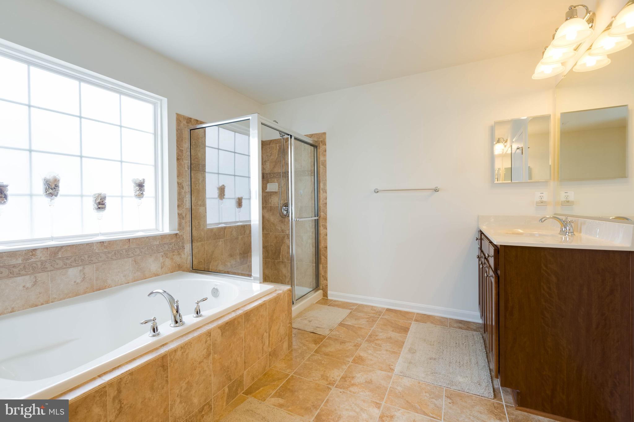 3200 St Marys View Road Accokeek, MD 20607 - Photo 16 of 29 Bath (Master)