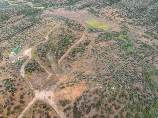a view of a dry yard with wooden floor