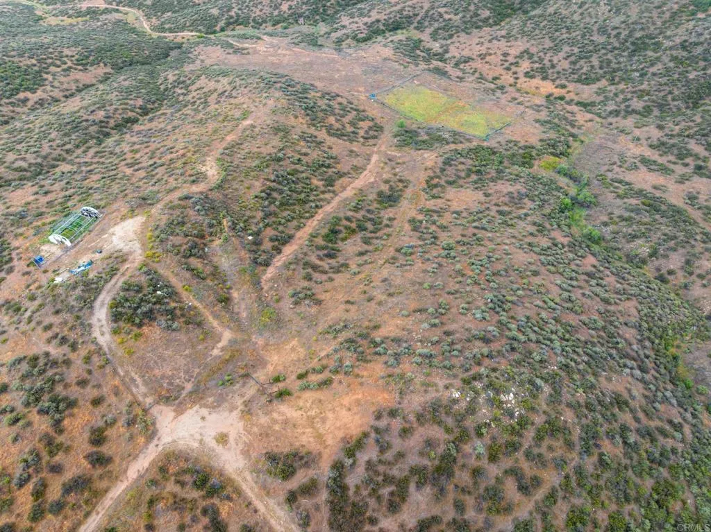 0 Ravenna Lane Rancho Cucamonga, CA 91737 - Photo 17 of 47 a close up of a plant in a field