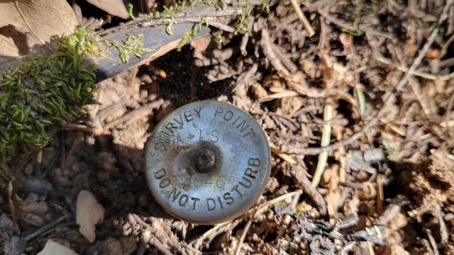 a view of a pathway with a yard