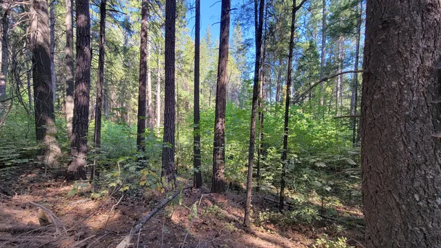 a building with trees in front of it
