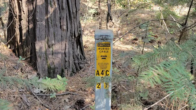 a view of outdoor space and green space