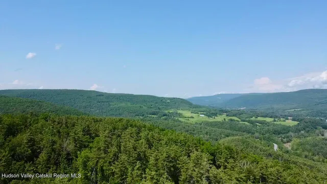a view of a lush green outdoor space with a lake view
