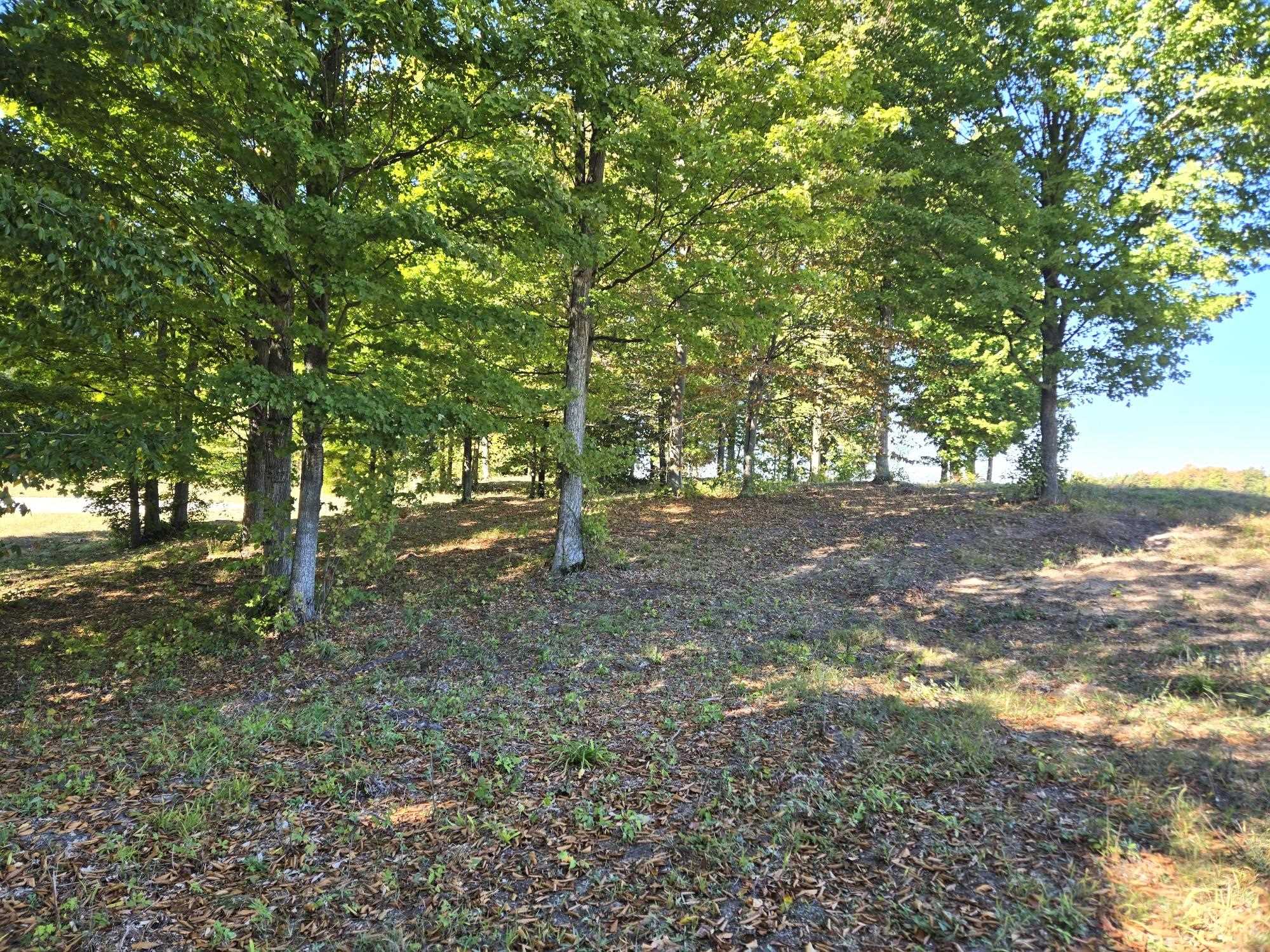 17 Heather Ridge Trail Beulah, MI 49617 - Photo 6 of 15