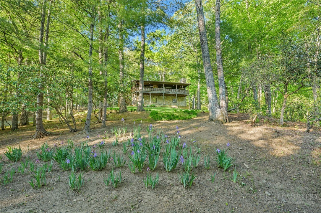214 Deer Ridge Road Crumpler, NC 28617 - Photo 33 of 40