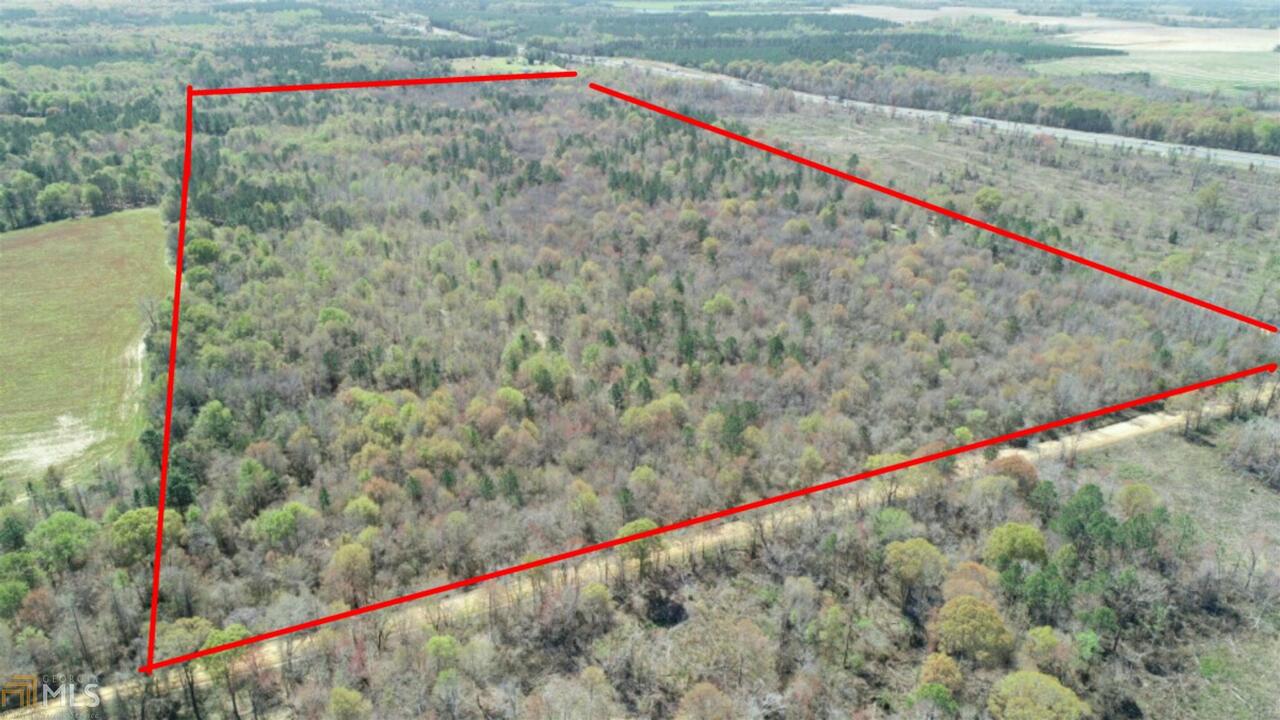 0 Arms Road Arabi, GA 31712 - Photo 1 of 1