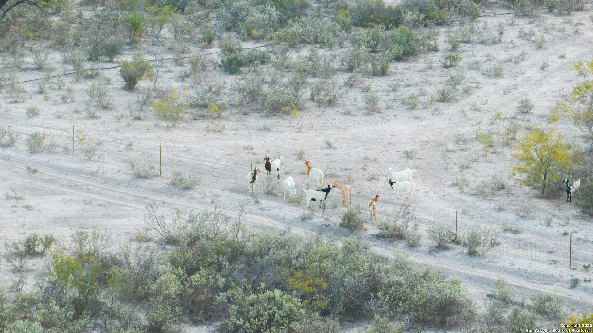 2212 Lausen Road Del Rio, TX 78840 - Photo 6 of 15 a view of a dry field