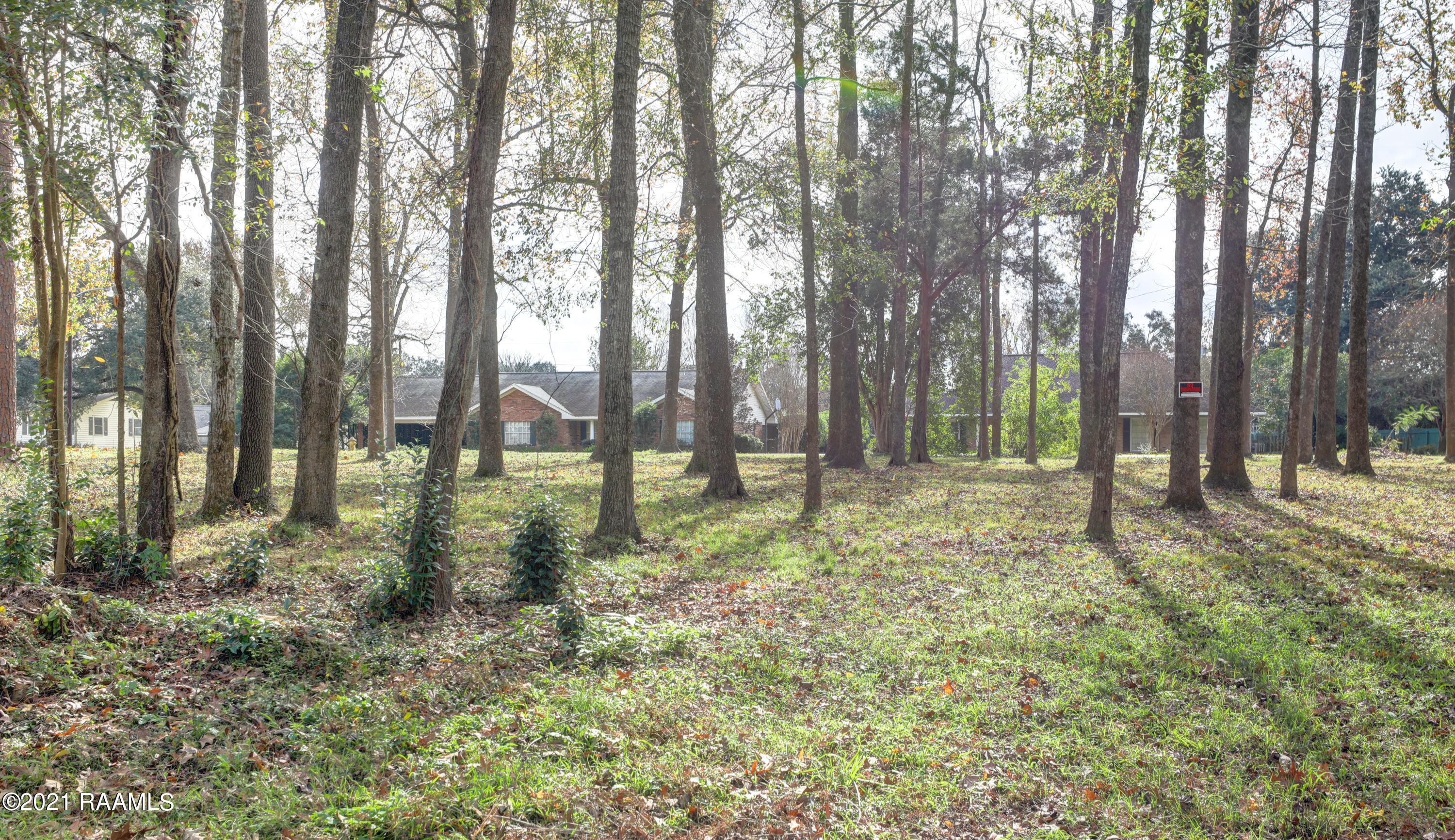 217 Leonpacher Road