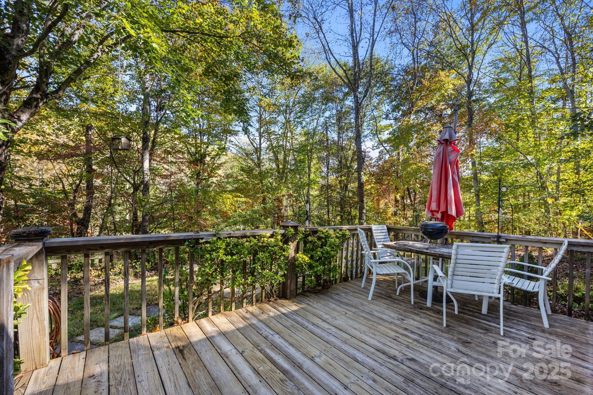 74 Davis Chapel Road Candler, NC 28715 - Photo 25 of 29