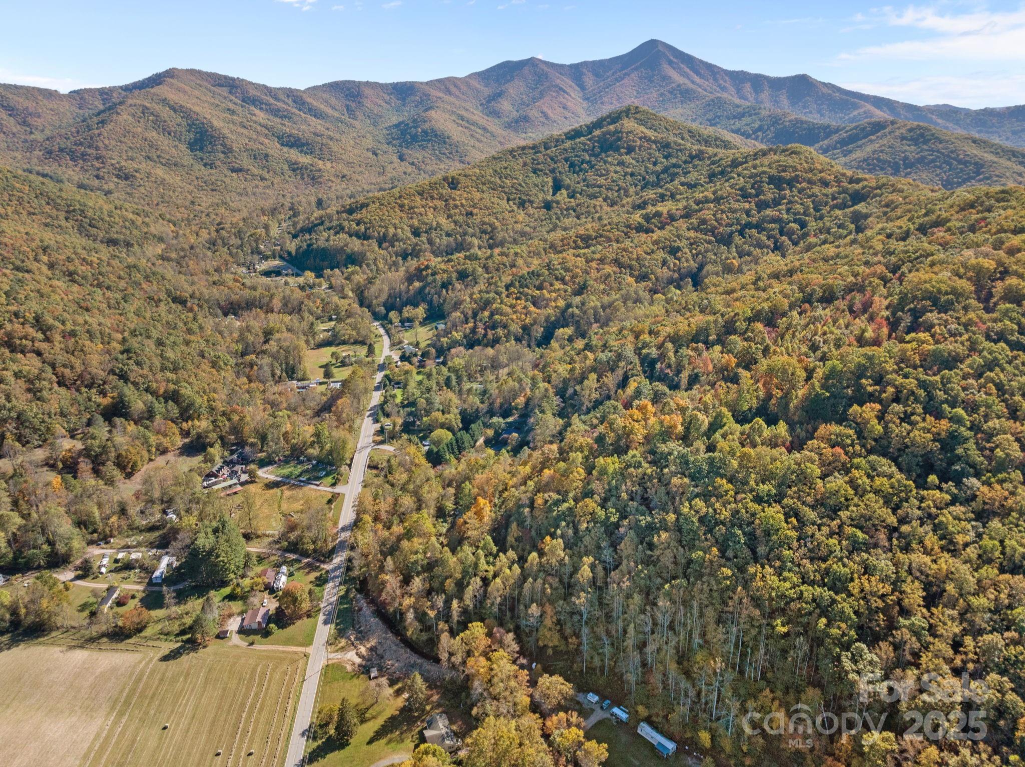 74 Davis Chapel Road Candler, NC 28715 - Photo 29 of 29