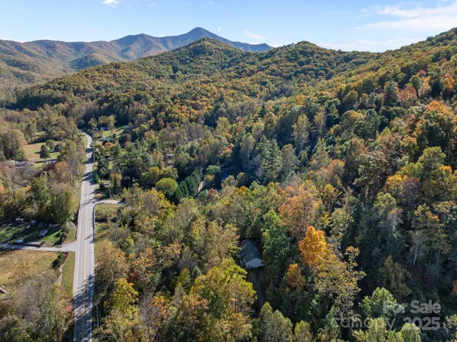 a view of a top of a houses with a lush green hillside