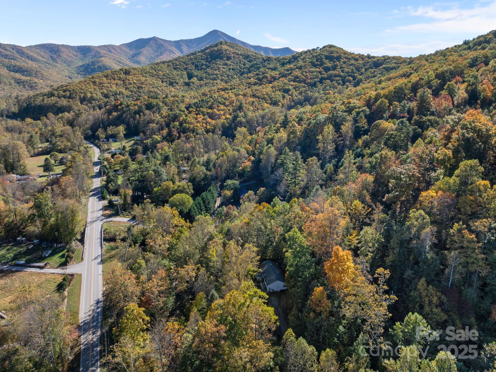 74 Davis Chapel Road Candler, NC 28715 - Photo 3 of 29