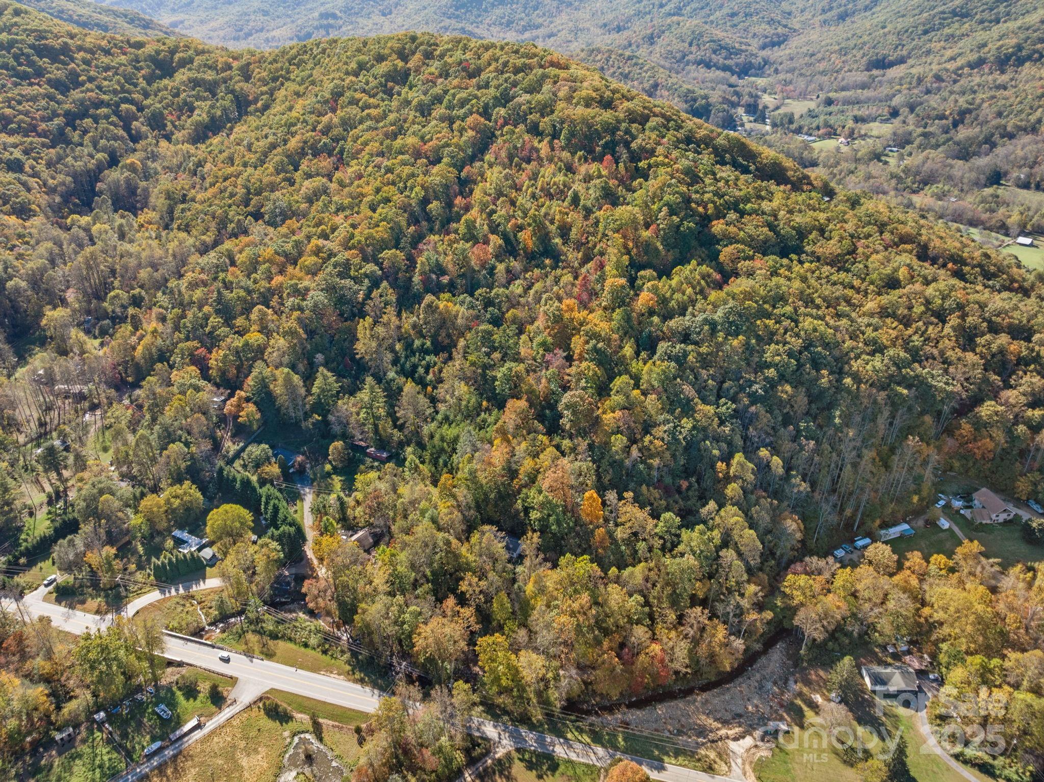 74 Davis Chapel Road Candler, NC 28715 - Photo 4 of 29