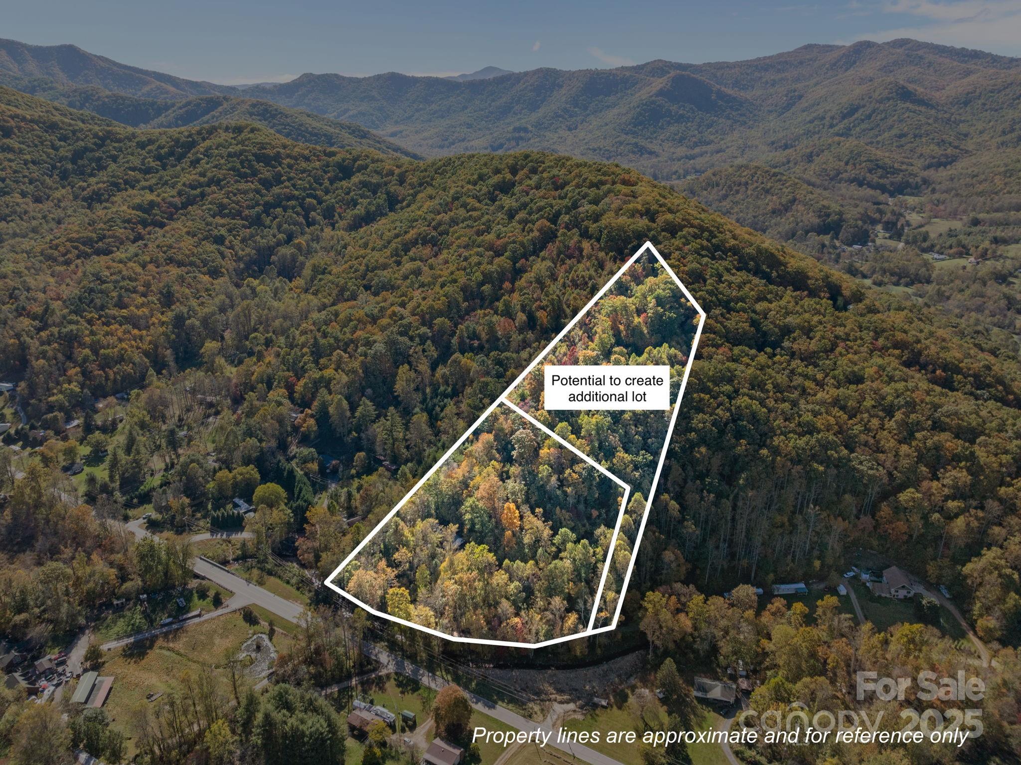 74 Davis Chapel Road Candler, NC 28715 - Photo 5 of 29