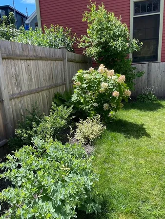 a view of a garden with plants