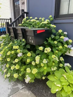 $975,000 | 14 Carlton Street, Unit B, Somerville, MA 02143