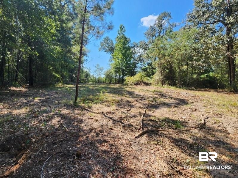 5560 Travis Road Brewton, AL 36426 - Photo 4 of 12