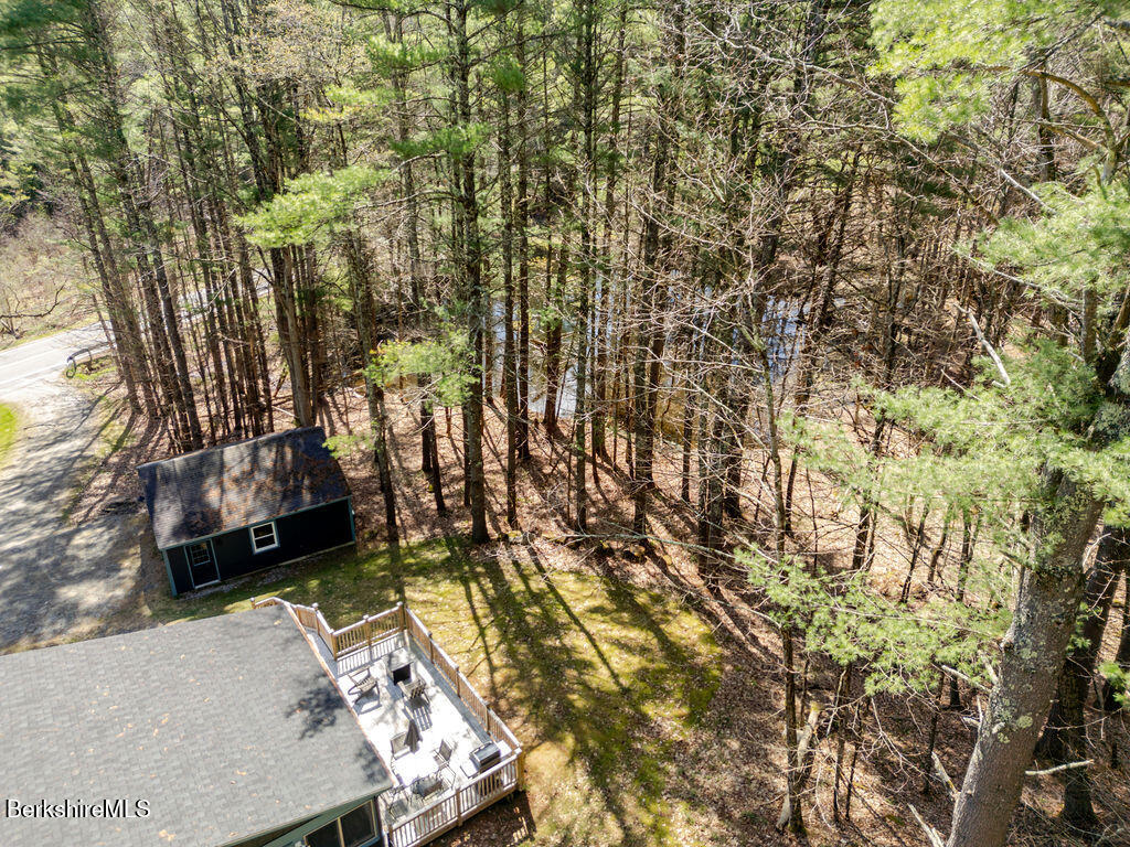 42 Sandisfield Road Monterey, MA 01245 - Photo 20 of 20 MIX OF EVERGREEN AND DECIDUOUS TREES