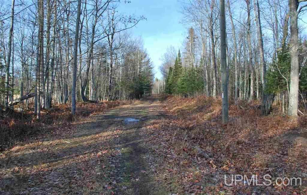 25215 Bootjack Road Lake Linden, MI 49945 - Photo 32 of 33