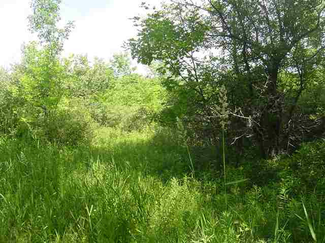 0 Mickle Road Carlisle, NY 12031 - Photo 2 of 7 Photo 2