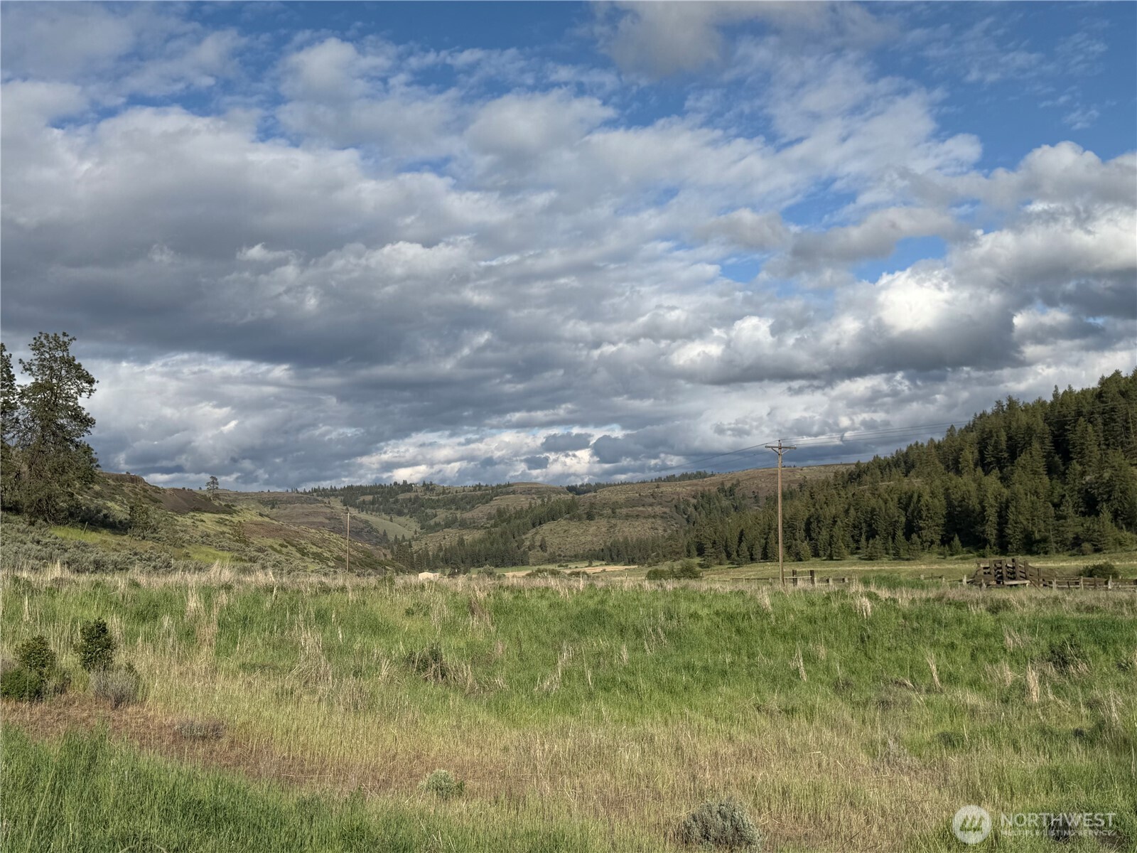 37235 Redwine Canyon Road Creston, WA 99117 - Photo 20 of 23 Gallery Image 20