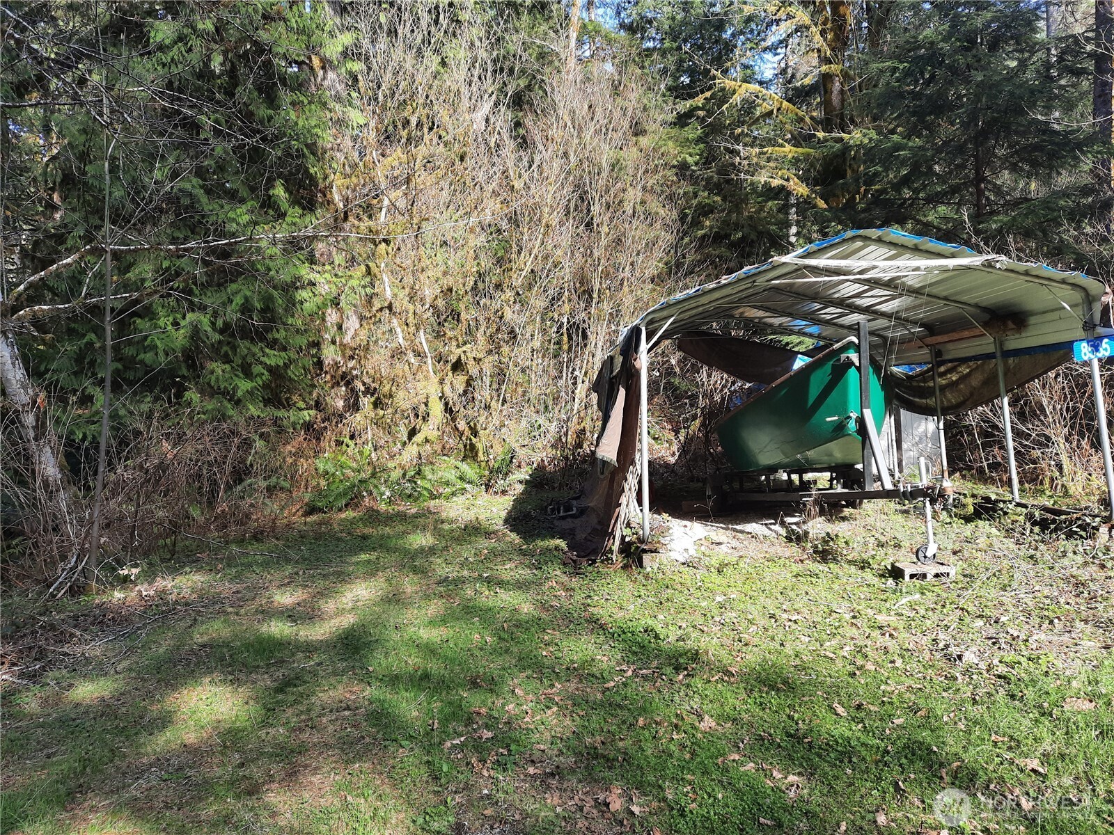 8535 Beaver Place Marblemount, WA 98267 - Photo 2 of 7 a view of outdoor space and yard