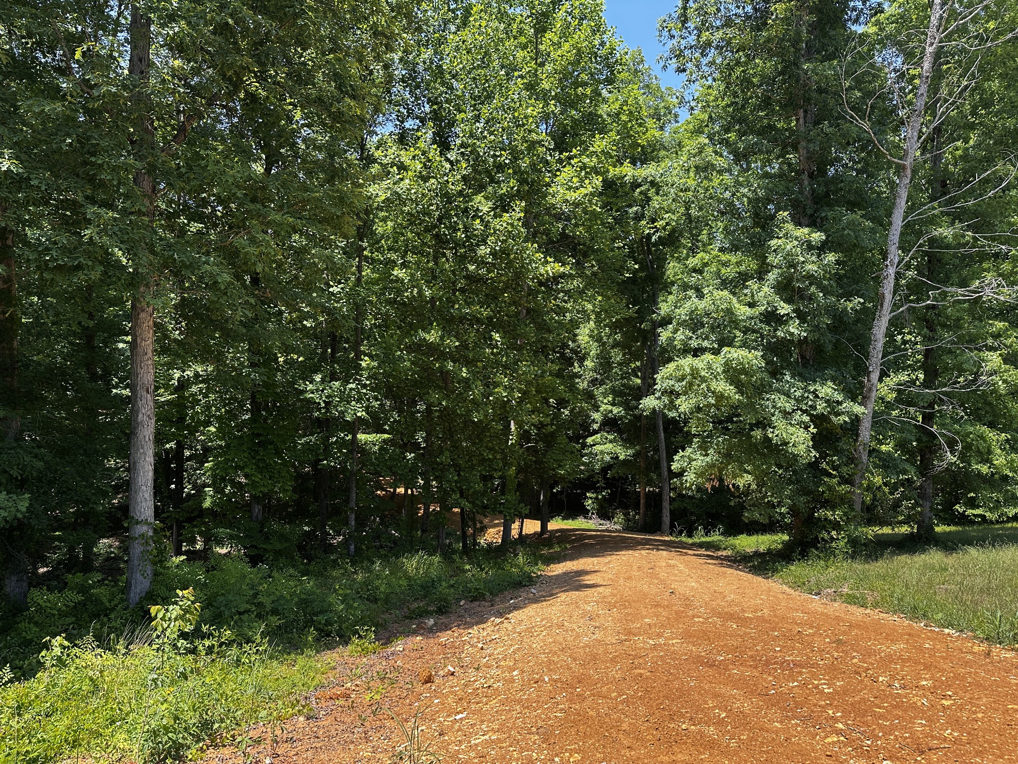 0 Littrell Road Loretto, TN 38469 - Photo 1 of 10 a view of backyard with green space