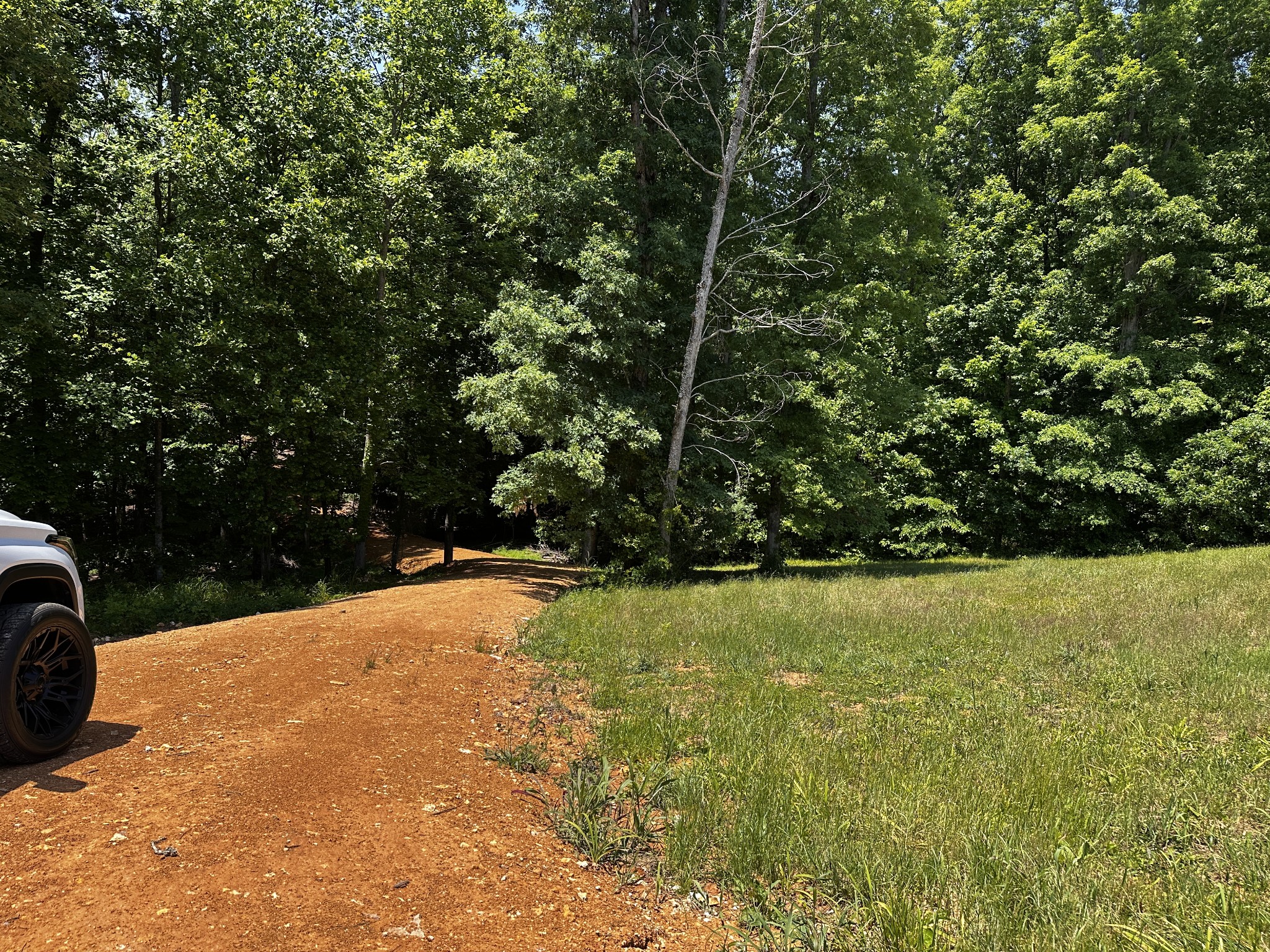0 Littrell Road Loretto, TN 38469 - Photo 2 of 10