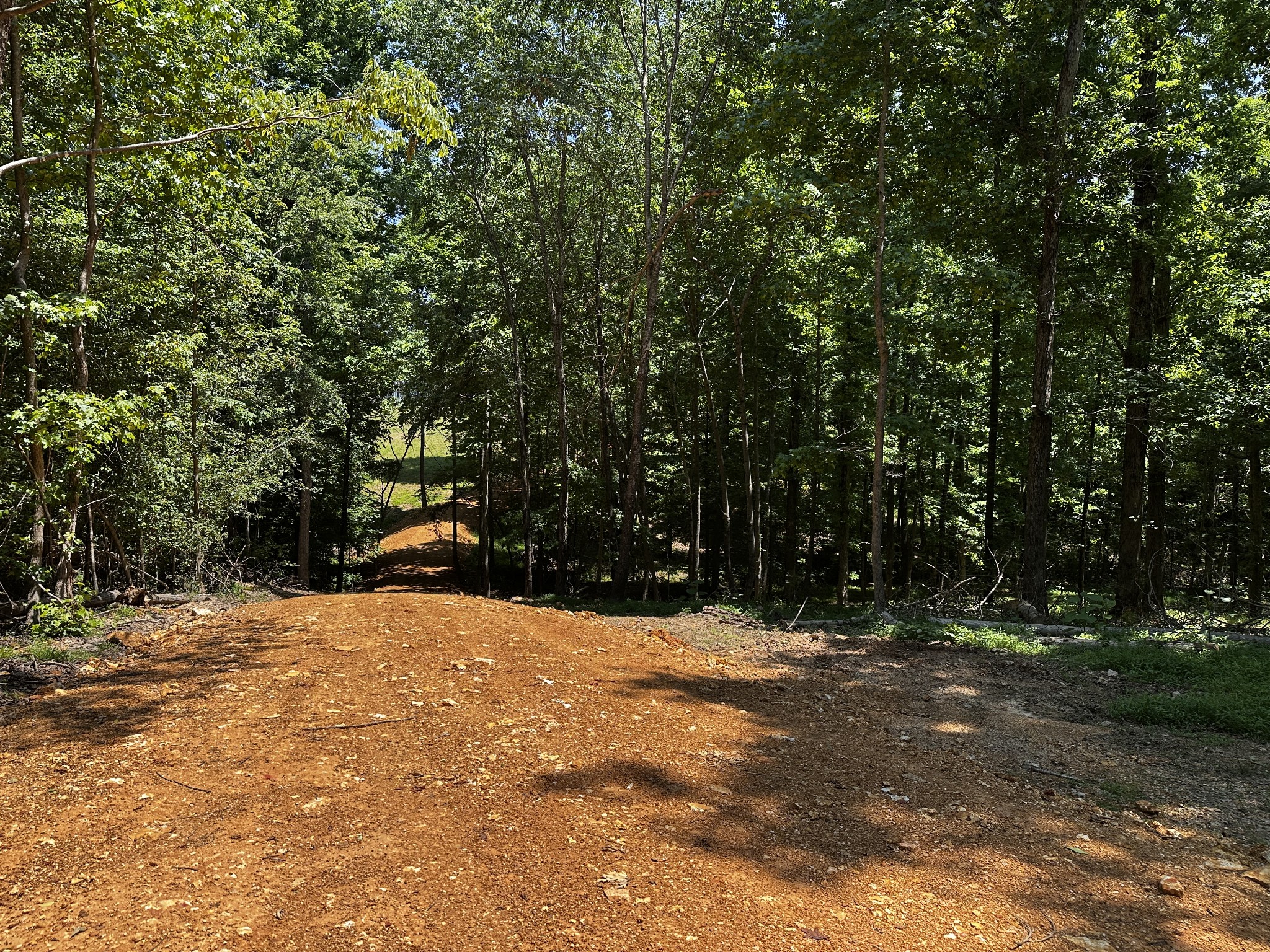 0 Littrell Road Loretto, TN 38469 - Photo 6 of 10 a view of outdoor space with trees