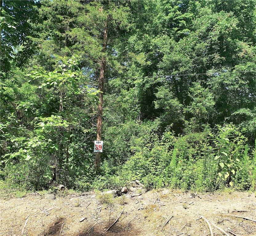 Lot 39 Quarles Road Rocky Face, GA 30740 - Photo 1 of 1