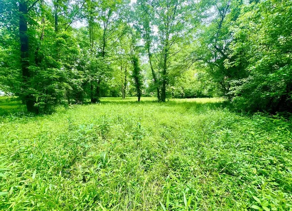 $99,000 | 22250 Kentucky 3, Rush, KY 41168