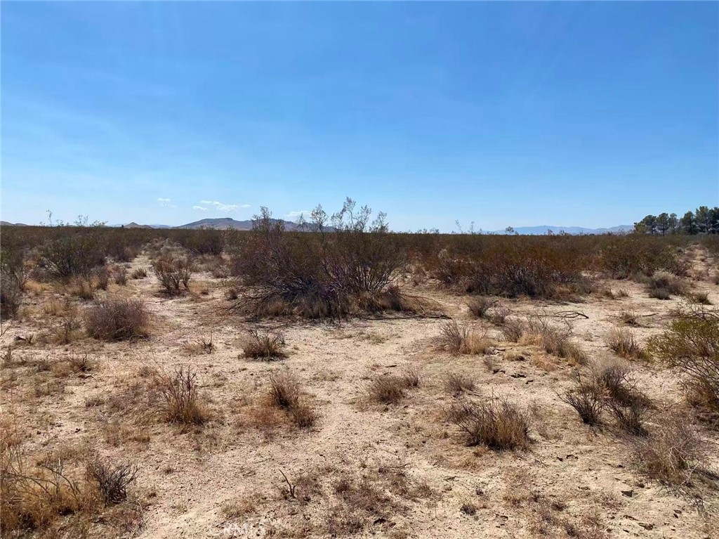 0 25th Street West Mojave, CA 93501 - Photo 7 of 14 a view of a dry field covered with fog