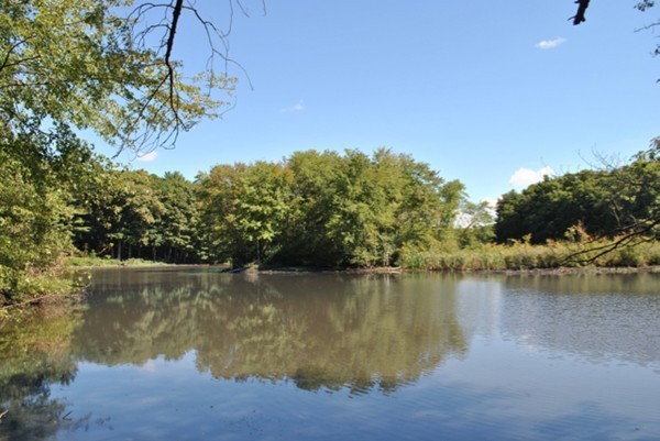 63 Todd Pond Road Lincoln, MA 01773 - Photo 16 of 18 a view of a lake view