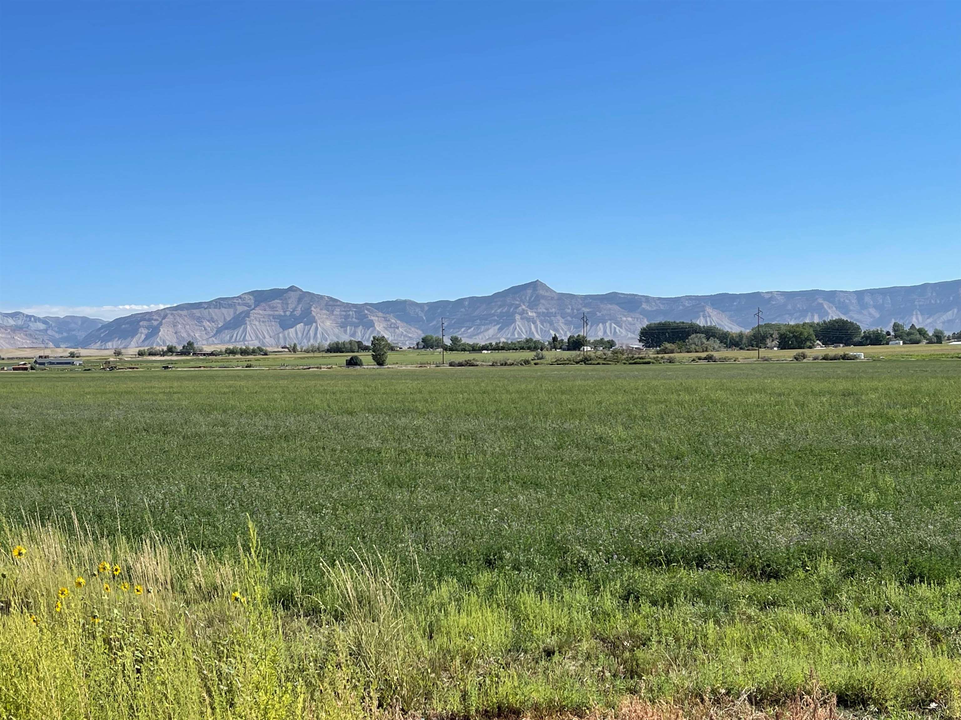 1278 21 Road Grand Junction, CO 81505 - Photo 3 of 11 Gallery Image 3
