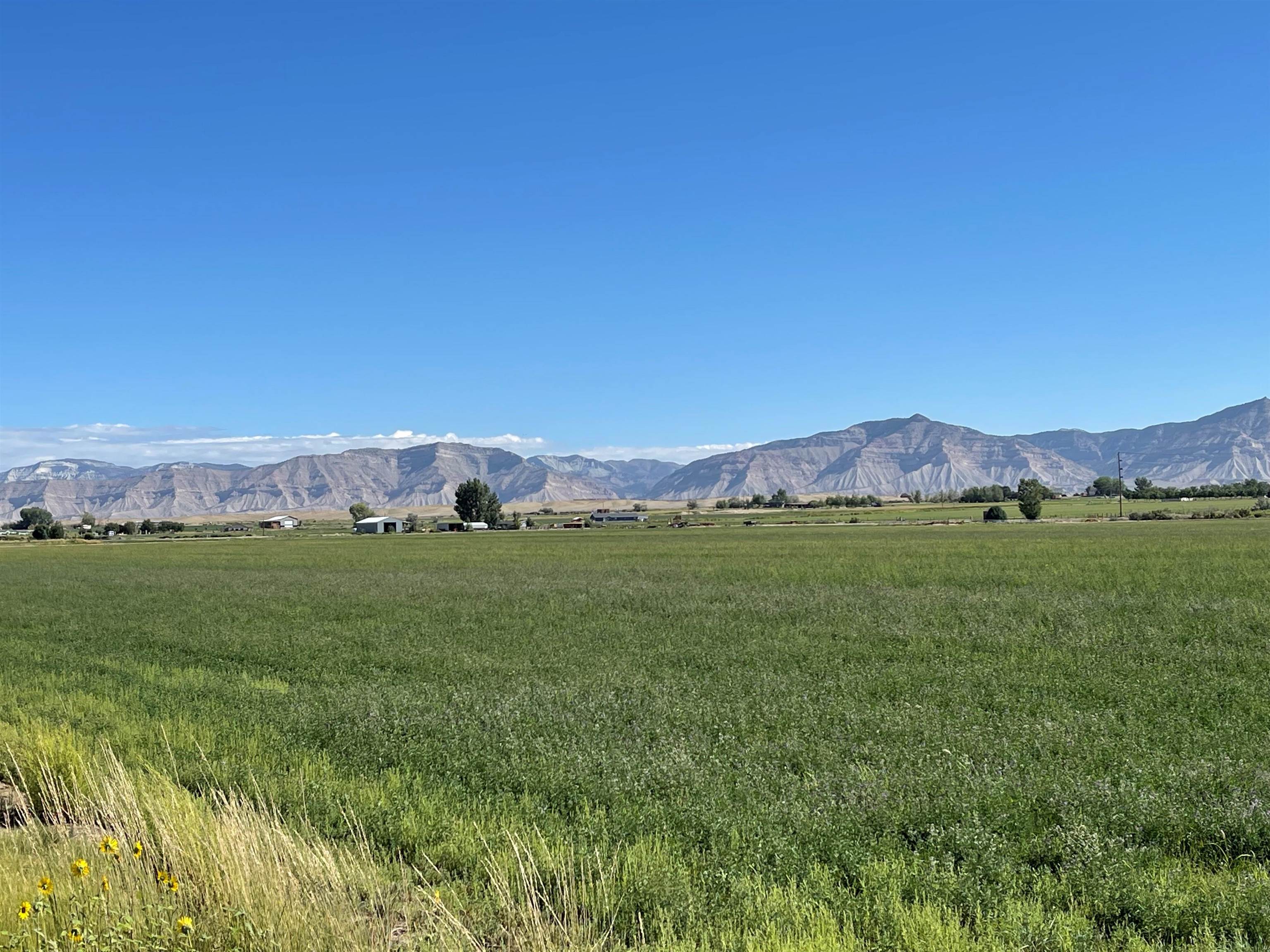 1278 21 Road Grand Junction, CO 81505 - Photo 4 of 11 Gallery Image 4