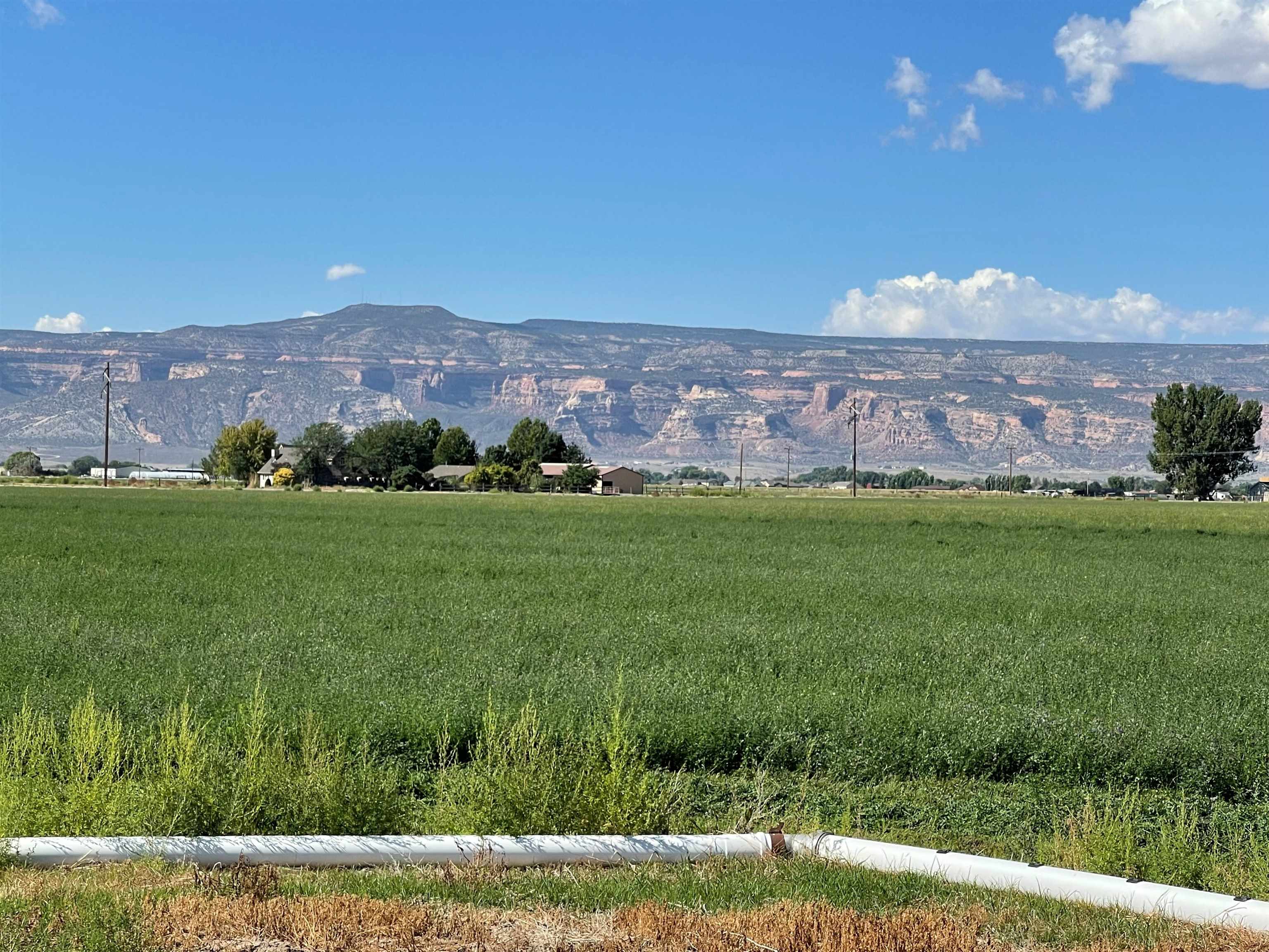 1278 21 Road Grand Junction, CO 81505 - Photo 5 of 11 Gallery Image 5