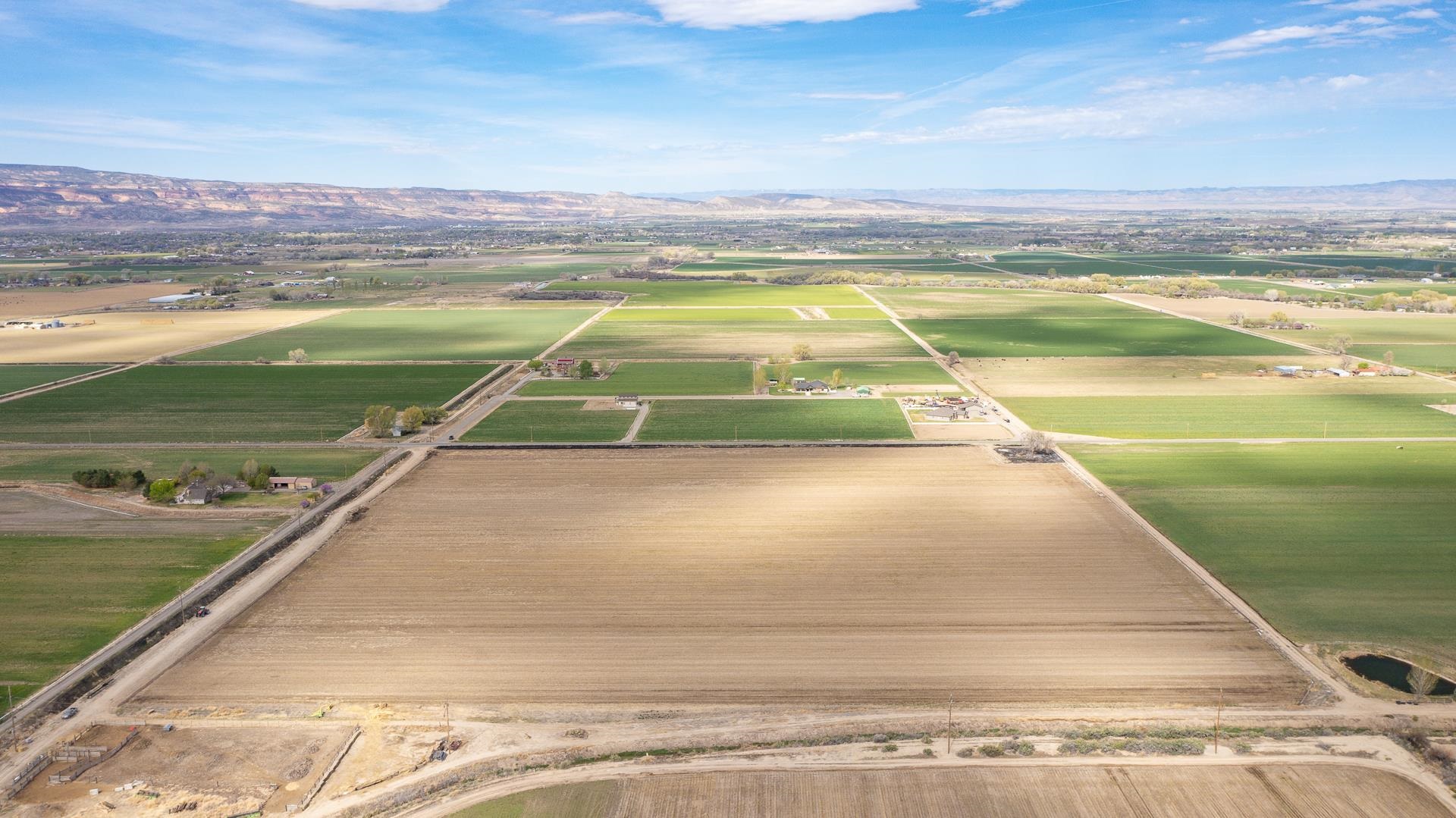 1278 21 Road Grand Junction, CO 81505 - Photo 9 of 11 Gallery Image 9