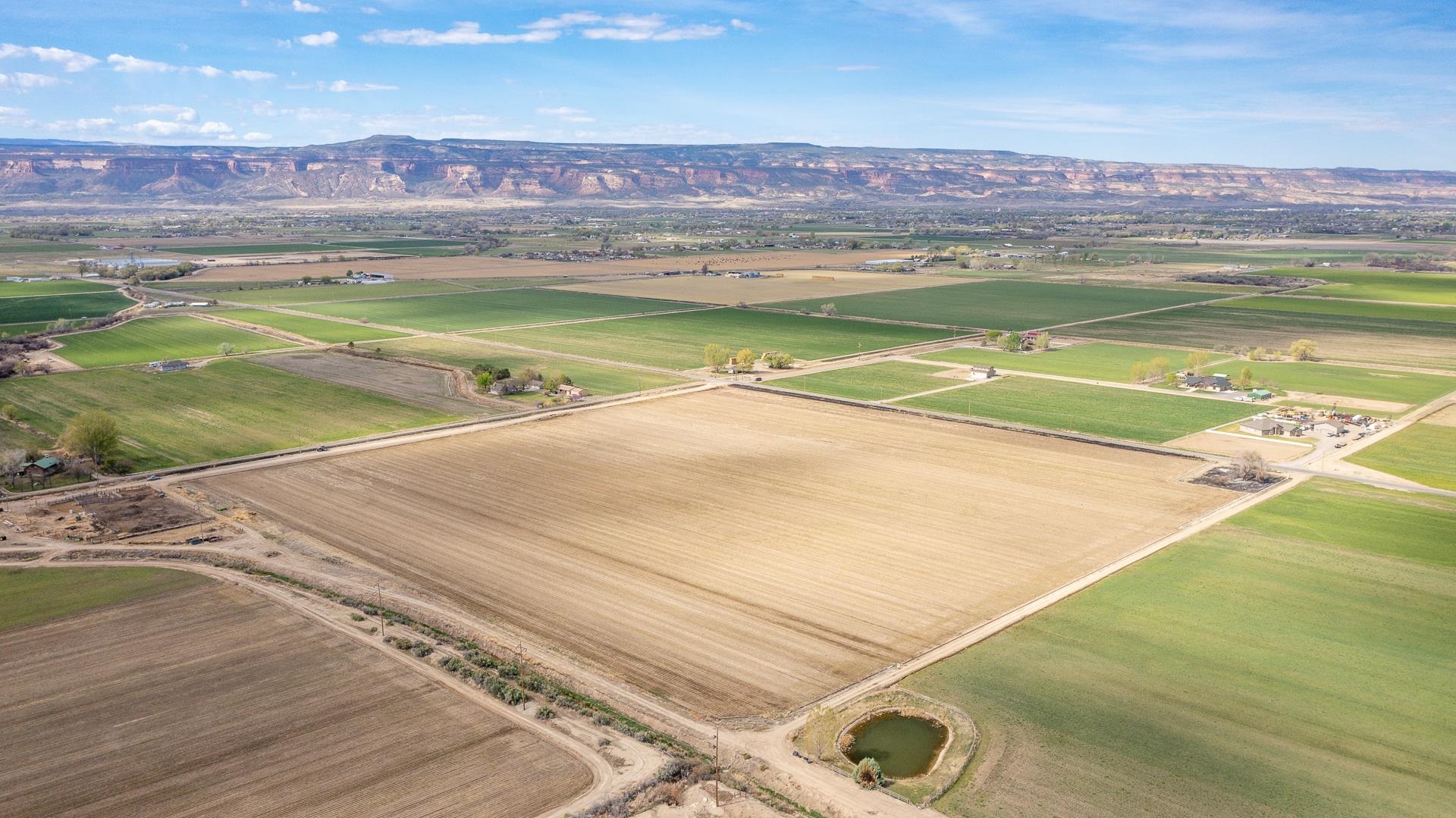 1278 21 Road Grand Junction, CO 81505 - Photo 10 of 11 Gallery Image 10