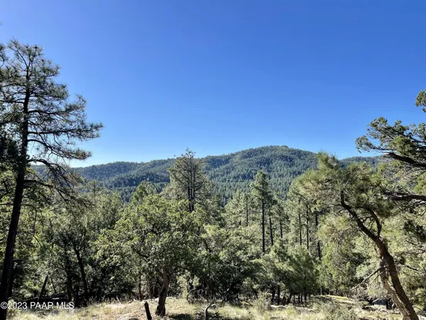 a view of a forest with a mountain in the background