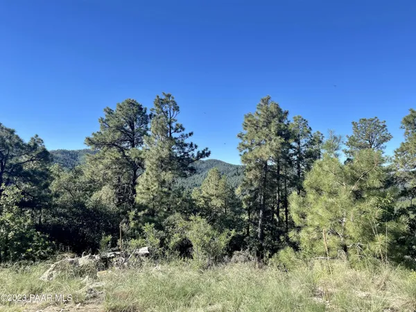 a view of a covered with snow on the road
