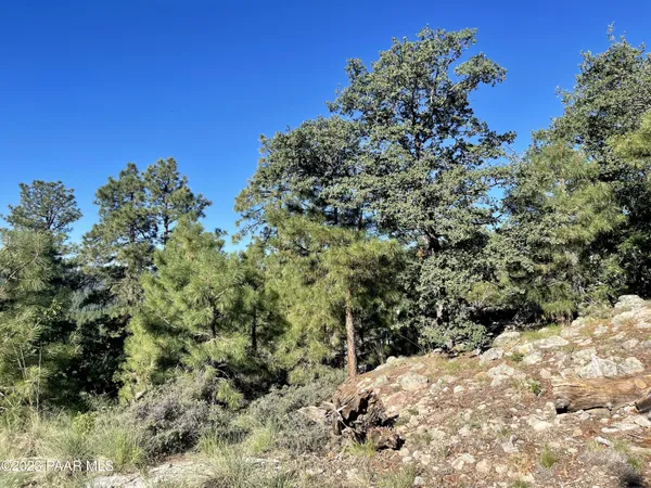 a view of a snow on a field