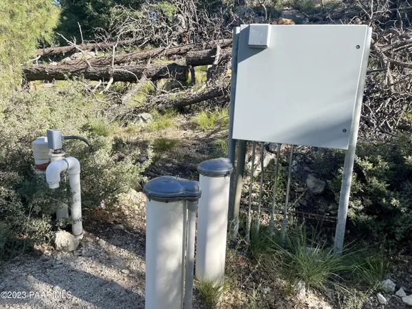 a view of a yard with plants