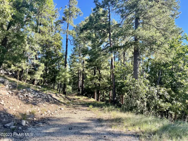 a view of a street with trees