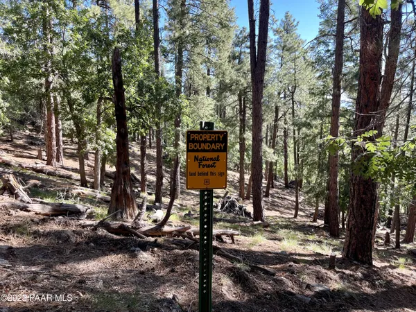 a view of a backyard of the house