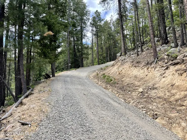 a view of a yard with trees