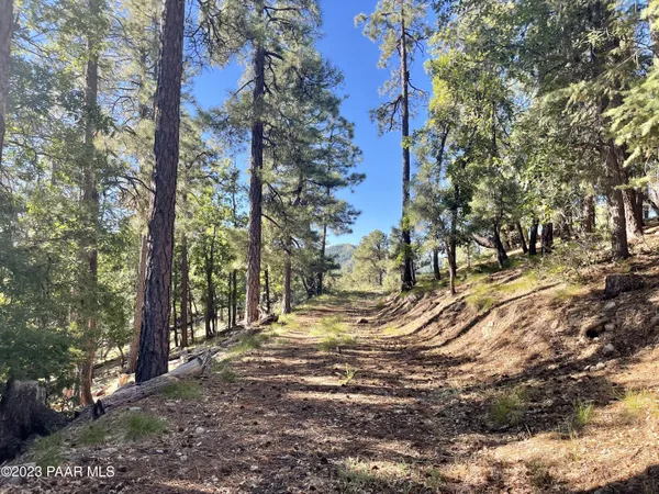 a view of a yard with trees