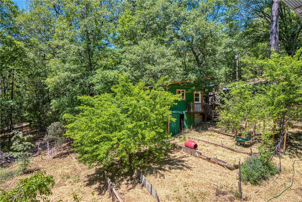 11575 Loch Lomond Road Middletown, CA 95461 - Photo 31 of 38 a backyard of a house with a tree